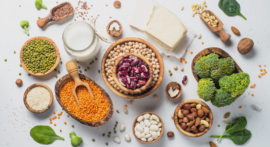 What do you mean vegan protein?