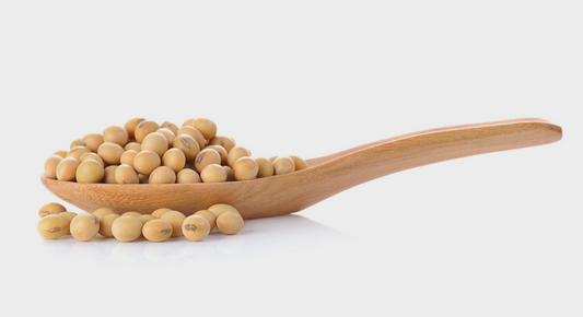 Considering Soy