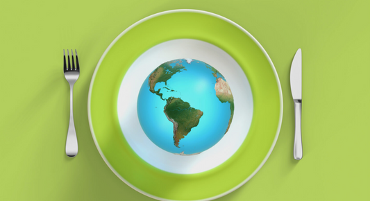 Feed The World